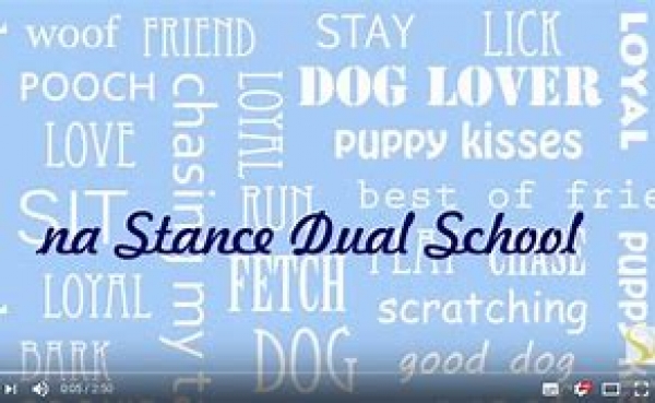 Parceiro: STANCE DUAL SCHOOL